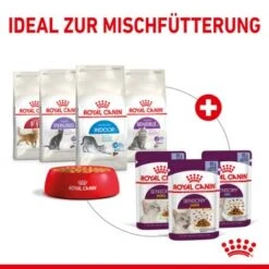 ROYAL CANIN SENSORY Smell In Gelee Für Wählerische Katzen 12x85g 12 ROYAL CANIN SENSORY Smell In Gelee Für Wählerische Katzen 12x85g -Haustierbedarf geschäft 25c7f2b0017090b05172a164b94d24299f626039 5b9b3776479c43ed4449b8634046c65b7d96c1fe