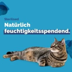 Almo Nature Almo Holistic Sterilised 30x70g Mit Huhn -Haustierbedarf geschäft 2a74214638ef27d415d1f494384f1208b23d2819 1479695 4 de