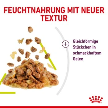ROYAL CANIN SENSORY Smell In Gelee Für Wählerische Katzen 12x85g 5 ROYAL CANIN SENSORY Smell In Gelee Für Wählerische Katzen 12x85g – Bild 3