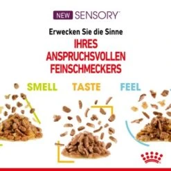 ROYAL CANIN SENSORY Smell In Gelee Für Wählerische Katzen 12x85g 14 ROYAL CANIN SENSORY Smell In Gelee Für Wählerische Katzen 12x85g -Haustierbedarf geschäft 4a632532d23d065e189b82401db5c561b6749e74 bbe7e159ee2cfcc0155771b211da953377ec5c40