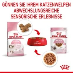 ROYAL CANIN Kitten 12x85g In Soße 11 ROYAL CANIN Kitten 12x85g In Soße -Haustierbedarf geschäft 4c1918079b58e03638b5b002a95574862e88b497 9003579308745 6