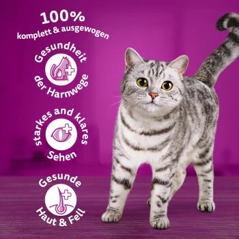 Whiskas Beutel 1+ Mit Rind 3,8kg 5 Whiskas Beutel 1+ Mit Rind 3,8kg – Bild 3
