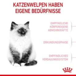 ROYAL CANIN Kitten 4 Kg -Haustierbedarf geschäft 76c69f287cfbe56e3ecbc6374c1c83282049ff9f 3182550702973 4