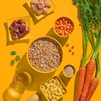 Fred & Felia FELIA 10x200g Huhn 6 Fred & Felia FELIA 10x200g Huhn – Bild 4