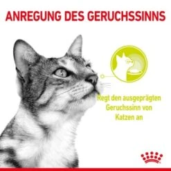 ROYAL CANIN SENSORY Smell In Gelee Für Wählerische Katzen 12x85g 15 ROYAL CANIN SENSORY Smell In Gelee Für Wählerische Katzen 12x85g -Haustierbedarf geschäft 8189732b9ae1a398fb4fb109d95a4bf54f9ea43e e98d42f060ba951a9dc658034746788da77dfcfd