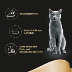 Haustierbedarf geschäft 9 Haustierbedarf geschäft -Haustierbedarf geschäft 9a52eb2e8ba06d0e4bd0272db3ea85d7a19ac51b 1717702814f061a3150e75ba18efaf3f42f27ad0