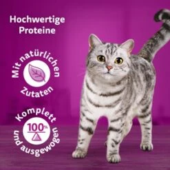 Whiskas Pure Delight Mega Pack Geflügel Ragout In Gelee 40 X 85g 16 Whiskas Pure Delight Mega Pack Geflügel Ragout In Gelee 40 X 85g -Haustierbedarf geschäft 9f640c36363dfb61f5b5632a4b10e09a36dea899 1410723 de DE Whiskas2 1