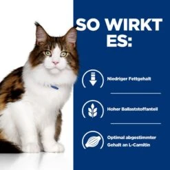 Hills Feline W/d Multi-Benefit Dosenfutter Für Katzen 24 X 156 G Feingehackt - Huhn In Dosen -Haustierbedarf geschäft DMpwt0szaWZ7 52742945507 3