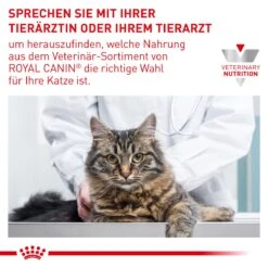 Royal Canin Cat Neutered Balance Frischebeutel 12 X 85 G Frischebeutel Für Katzen 18 Royal Canin Cat Neutered Balance Frischebeutel 12 X 85 G Frischebeutel Für Katzen -Haustierbedarf geschäft Id5zb55D8gB4 9003579015643 4036 9