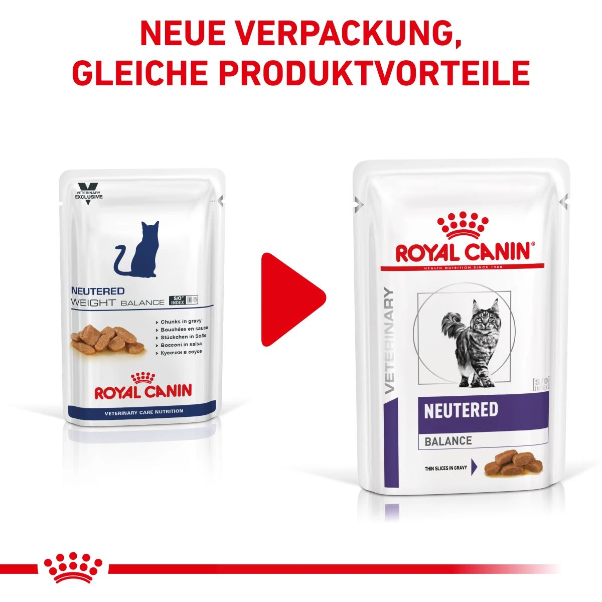 Royal Canin Cat Neutered Balance Frischebeutel 12 X 85 G Frischebeutel Für Katzen 4 Royal Canin Cat Neutered Balance Frischebeutel 12 X 85 G Frischebeutel Für Katzen – Bild 2