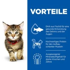 Hills Science Plan Kitten Trockenfutter 1,5 Kg Trockenfutter -Haustierbedarf geschäft PqmNgHbLe665 52742023649 3