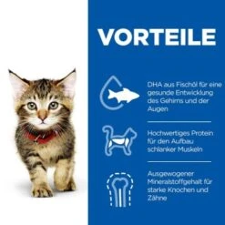 Hill's Science Plan Kitten Thunfisch 7 Kg -Haustierbedarf geschäft c6fb28c1a799efc2b3725ee5b7be61613fad29ae 52742024431 4