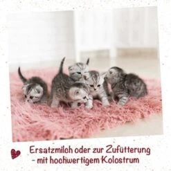 Haustierbedarf geschäft -Haustierbedarf geschäft cb54fb68eab1ba9ad3309329056a5719ae136c3c 1670288 de DE 36a37c143303142c75d6ae24d10000b3fa8247a1SHLn41