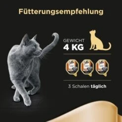Sheba Classics In Pastete 22x85g Mit Ente & Huhn 10 Sheba Classics In Pastete 22x85g Mit Ente & Huhn -Haustierbedarf geschäft db3ddb8a2d5a3d236d7dcc9f93be382078be15f4 cfab620511bd0eb34d47d0f7770d3ab65b34729a
