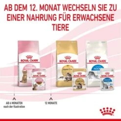 ROYAL CANIN KITTEN STERILISED In Soße 12 X 85g 15 ROYAL CANIN KITTEN STERILISED In Soße 12 X 85g -Haustierbedarf geschäft f24914890e93bb258bba02c00adf6300f771d67b 1298264 de DE Kittenster 8