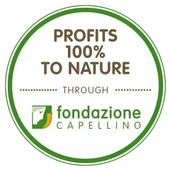 Almo Nature HFC Jelly 24x70g Lachs Und Huhn 5 Almo Nature HFC Jelly 24x70g Lachs Und Huhn – Bild 3