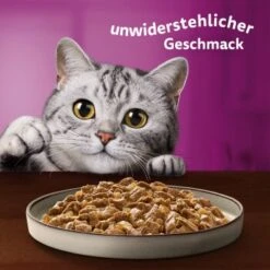 Whiskas Pure Delight Mega Pack Geflügel Ragout In Gelee 40 X 85g 19 Whiskas Pure Delight Mega Pack Geflügel Ragout In Gelee 40 X 85g -Haustierbedarf geschäft fb884326dc9636e4843c68e11f5586233a08be8f 1410723 de DE Whiskas 8